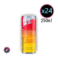 Red bull pomme fuji & gimgembre 24 x 25cl
